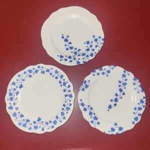 Rowing Blazers 3pc 3 Piece Ivy Print Ceramic Appetizer Plates Blue And White